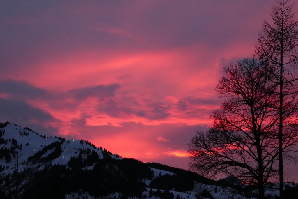 Berggasthof Bichlersee Oberaudorf Esterno foto